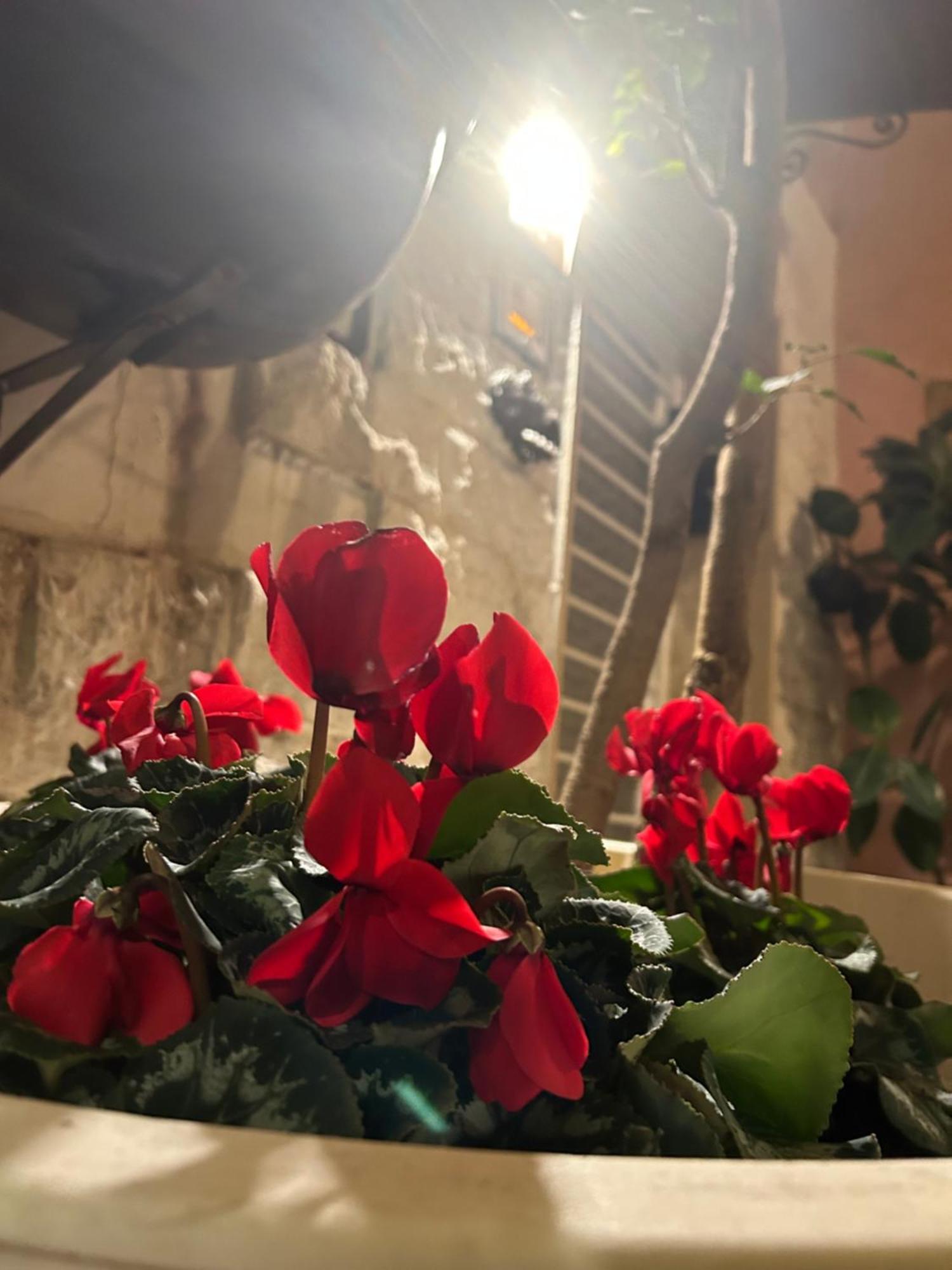 B&B Bari Vecchia R Екстер'єр фото